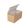 Pudełko TAKEAWAY box mały 220x120x110 a`100